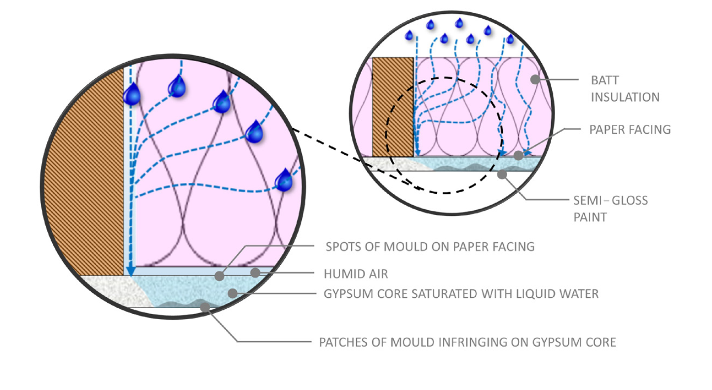 Above Sheathing Ventilation – Part 2: The Blue Planet